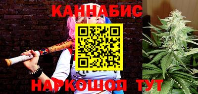индика Ливны