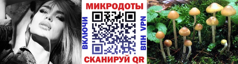 Галлюциногенные грибы прущие грибы  Карталы 
