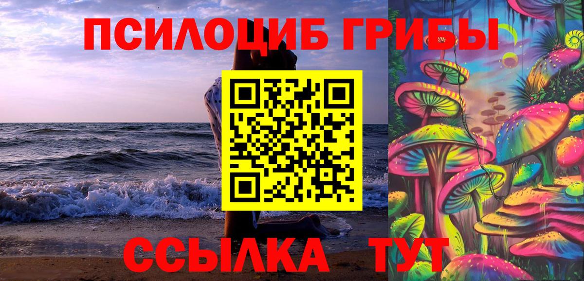 Псилоцибиновые грибы MAGIC MUSHROOMS  Вход с VPN  Карталы 